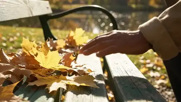 A man's hand brushing fallen yellow leaves off the green slats of a park bench in autumn light
